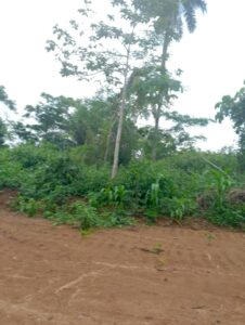 Terrain Zalom 3