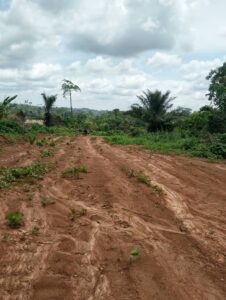 Terrain Zalom 2